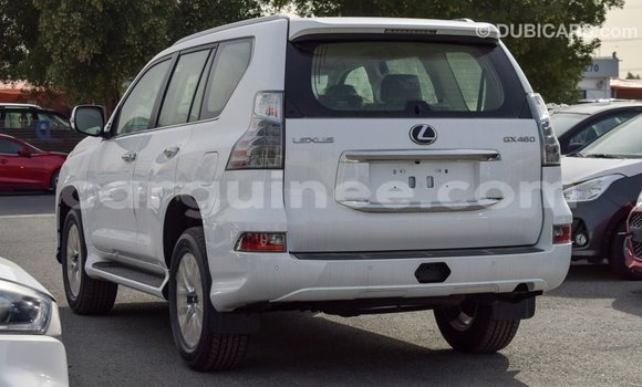Buy Import Lexus GX White Car in Import - Dubai in Conakry Buy Import Lexus GX White Car in Import - Dubai in Conakry