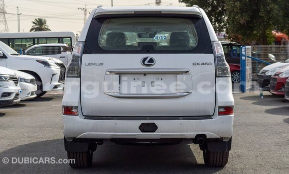 Buy Import Lexus GX White Car in Import - Dubai in Conakry Buy Import Lexus GX White Car in Import - Dubai in Conakry