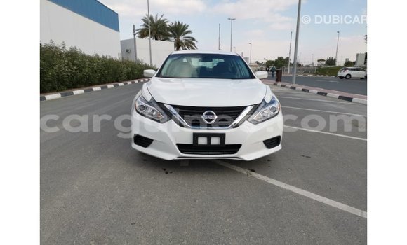 Buy Import Nissan Altima White Car in Import - Dubai in Conakry Buy Import Nissan Altima White Car in Import - Dubai in Conakry