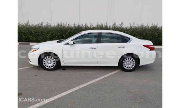 Buy Import Nissan Altima White Car in Import - Dubai in Conakry Buy Import Nissan Altima White Car in Import - Dubai in Conakry