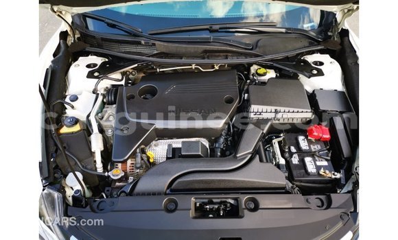 Buy Import Nissan Altima White Car in Import - Dubai in Conakry Buy Import Nissan Altima White Car in Import - Dubai in Conakry