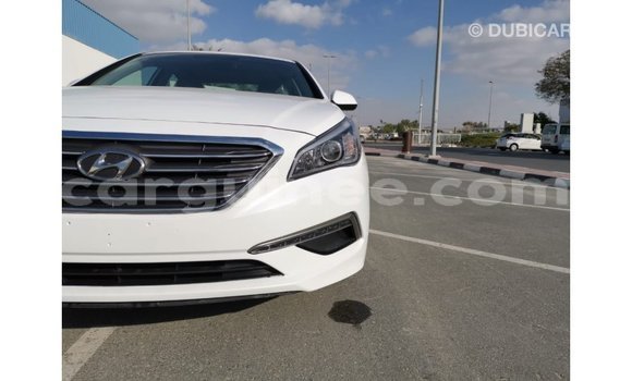 Buy Import Hyundai Sonata White Car in Import - Dubai in Conakry Buy Import Hyundai Sonata White Car in Import - Dubai in Conakry