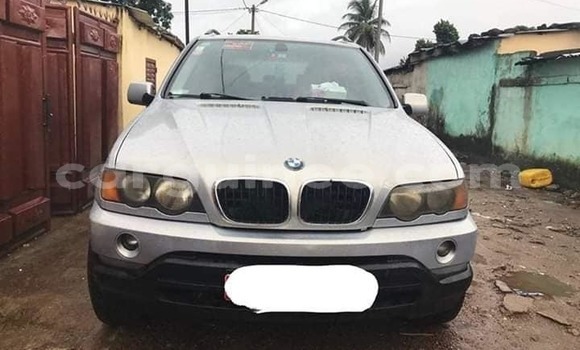 Acheter Occasion Voiture BMW X5 Gris à Conakry, Conakry