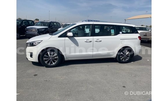 Buy Import Kia Carnival White Car in Import - Dubai in Conakry Buy Import Kia Carnival White Car in Import - Dubai in Conakry