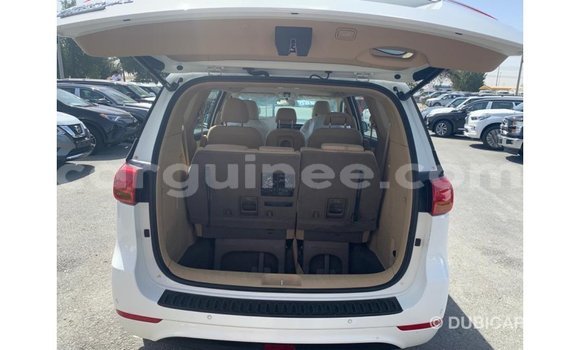 Buy Import Kia Carnival White Car in Import - Dubai in Conakry Buy Import Kia Carnival White Car in Import - Dubai in Conakry
