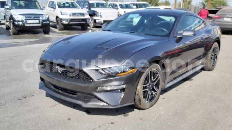 Big with watermark ford mustang conakry import dubai 5170