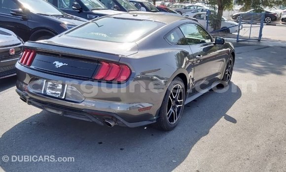 Buy Import Ford Mustang Other Car in Import - Dubai in Conakry Buy Import Ford Mustang Other Car in Import - Dubai in Conakry