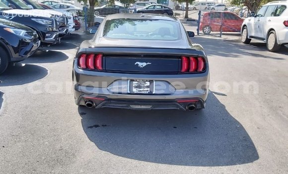 Buy Import Ford Mustang Other Car in Import - Dubai in Conakry Buy Import Ford Mustang Other Car in Import - Dubai in Conakry
