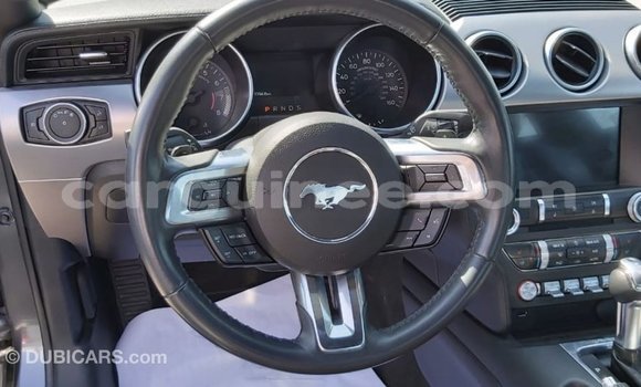 Buy Import Ford Mustang Other Car in Import - Dubai in Conakry Buy Import Ford Mustang Other Car in Import - Dubai in Conakry