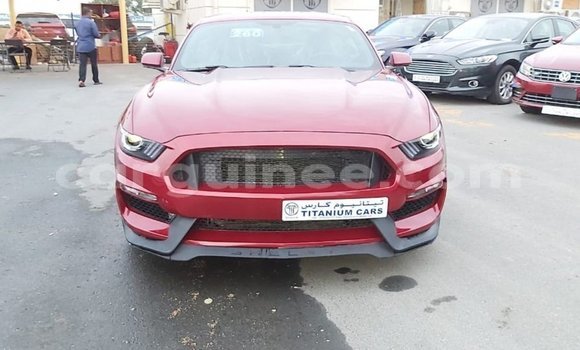Buy Import Ford Mustang Red Car in Import - Dubai in Conakry Buy Import Ford Mustang Red Car in Import - Dubai in Conakry