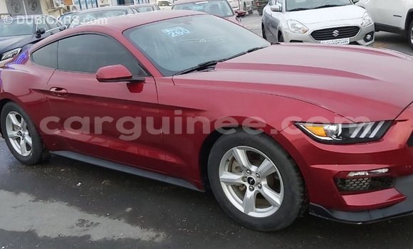 Buy Import Ford Mustang Red Car in Import - Dubai in Conakry Buy Import Ford Mustang Red Car in Import - Dubai in Conakry