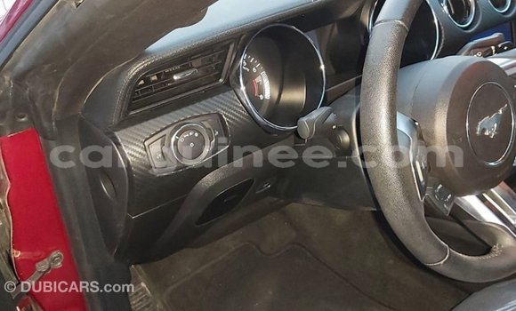 Buy Import Ford Mustang Red Car in Import - Dubai in Conakry Buy Import Ford Mustang Red Car in Import - Dubai in Conakry