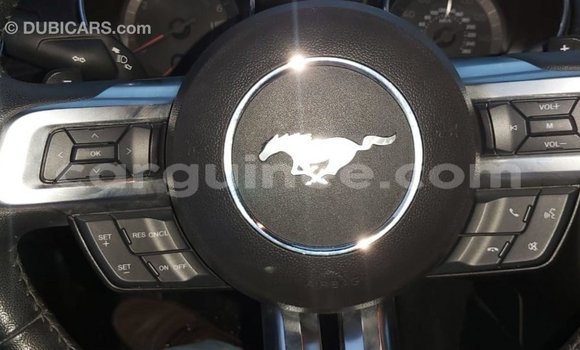 Buy Import Ford Mustang Red Car in Import - Dubai in Conakry Buy Import Ford Mustang Red Car in Import - Dubai in Conakry