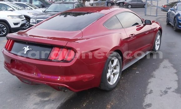 Buy Import Ford Mustang Red Car in Import - Dubai in Conakry Buy Import Ford Mustang Red Car in Import - Dubai in Conakry