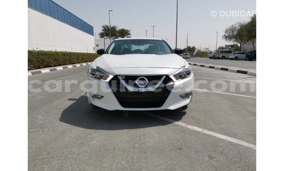 Buy Import Nissan Maxima White Car in Import - Dubai in Conakry Buy Import Nissan Maxima White Car in Import - Dubai in Conakry