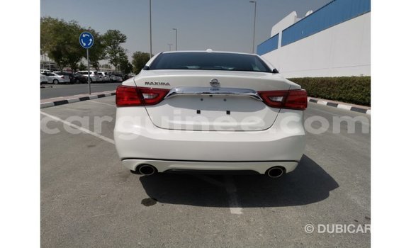 Buy Import Nissan Maxima White Car in Import - Dubai in Conakry Buy Import Nissan Maxima White Car in Import - Dubai in Conakry