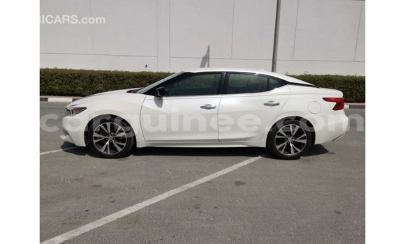 Buy Import Nissan Maxima White Car in Import - Dubai in Conakry Buy Import Nissan Maxima White Car in Import - Dubai in Conakry