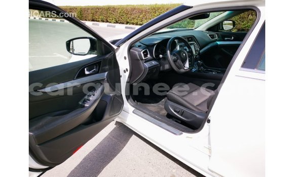 Buy Import Nissan Maxima White Car in Import - Dubai in Conakry Buy Import Nissan Maxima White Car in Import - Dubai in Conakry