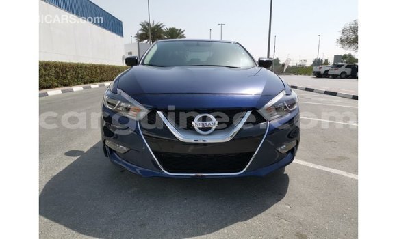 Buy Import Nissan Maxima Blue Car in Import - Dubai in Conakry Buy Import Nissan Maxima Blue Car in Import - Dubai in Conakry