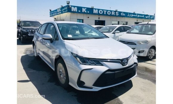 Buy Import Toyota Corolla White Car in Import - Dubai in Conakry Buy Import Toyota Corolla White Car in Import - Dubai in Conakry