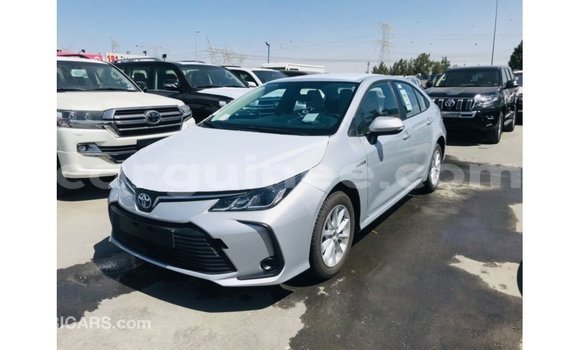 Buy Import Toyota Corolla White Car in Import - Dubai in Conakry Buy Import Toyota Corolla White Car in Import - Dubai in Conakry