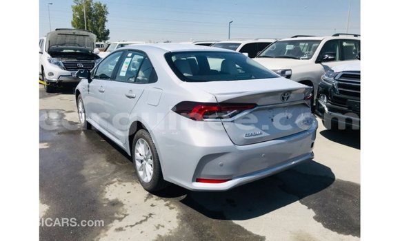 Buy Import Toyota Corolla White Car in Import - Dubai in Conakry Buy Import Toyota Corolla White Car in Import - Dubai in Conakry
