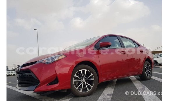 Buy Import Toyota Corolla Red Car in Import - Dubai in Conakry Buy Import Toyota Corolla Red Car in Import - Dubai in Conakry