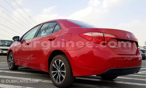 Buy Import Toyota Corolla Red Car in Import - Dubai in Conakry Buy Import Toyota Corolla Red Car in Import - Dubai in Conakry