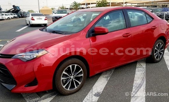 Buy Import Toyota Corolla Red Car in Import - Dubai in Conakry Buy Import Toyota Corolla Red Car in Import - Dubai in Conakry