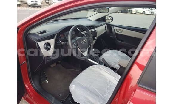 Buy Import Toyota Corolla Red Car in Import - Dubai in Conakry Buy Import Toyota Corolla Red Car in Import - Dubai in Conakry