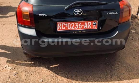 Buy Used Toyota Corolla Black Car in Conakry in Conakry Buy Used Toyota Corolla Black Car in Conakry in Conakry