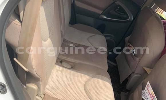 Buy Used Toyota RAV4 White Car in Conakry in Conakry Buy Used Toyota RAV4 White Car in Conakry in Conakry