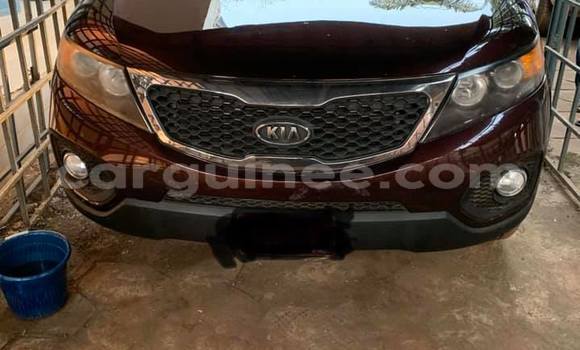 Buy Used Kia Sorento Brown Car in Conakry in Conakry Buy Used Kia Sorento Brown Car in Conakry in Conakry