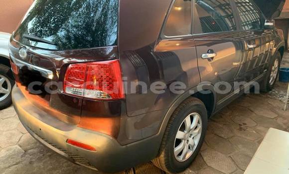 Buy Used Kia Sorento Brown Car in Conakry in Conakry Buy Used Kia Sorento Brown Car in Conakry in Conakry