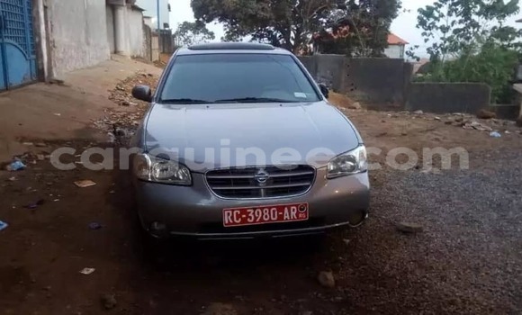 Buy Used Nissan Maxima Silver Car in Conakry in Conakry Buy Used Nissan Maxima Silver Car in Conakry in Conakry