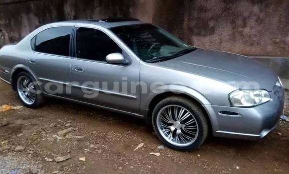 Buy Used Nissan Maxima Silver Car in Conakry in Conakry Buy Used Nissan Maxima Silver Car in Conakry in Conakry