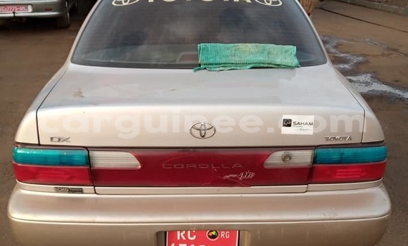 Acheter Occasion Voiture Toyota Corolla Gris à Conakry, Conakry Acheter Occasion Voiture Toyota Corolla Gris à Conakry, Conakry