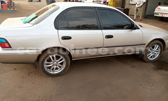 Acheter Occasion Voiture Toyota Corolla Gris à Conakry, Conakry Acheter Occasion Voiture Toyota Corolla Gris à Conakry, Conakry