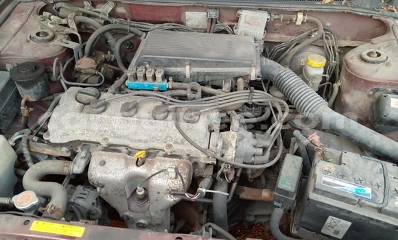 Acheter Occasion Voiture Toyota Corolla Blanc à Conakry, Conakry Acheter Occasion Voiture Toyota Corolla Blanc à Conakry, Conakry