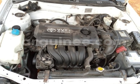 Acheter Occasion Voiture Toyota Corolla Blanc à Conakry, Conakry Acheter Occasion Voiture Toyota Corolla Blanc à Conakry, Conakry