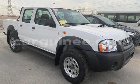Buy New Nissan Pickup White Car in Conakry in Conakry Buy New Nissan Pickup White Car in Conakry in Conakry