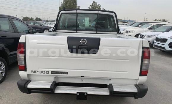 Buy New Nissan Pickup White Car in Conakry in Conakry Buy New Nissan Pickup White Car in Conakry in Conakry