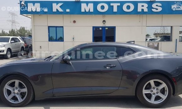 Buy Import Chevrolet Camaro Other Car in Import - Dubai in Conakry Buy Import Chevrolet Camaro Other Car in Import - Dubai in Conakry