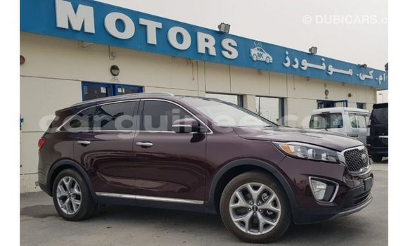 Buy Import Kia Sorento Red Car in Import - Dubai in Conakry Buy Import Kia Sorento Red Car in Import - Dubai in Conakry
