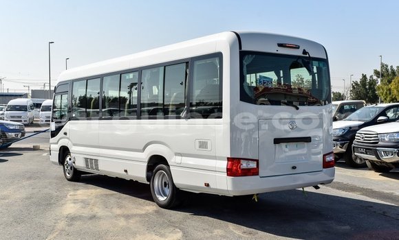 Acheter Import Voiture Toyota Coaster Blanc à Import - Dubai, Conakry Acheter Import Voiture Toyota Coaster Blanc à Import - Dubai, Conakry