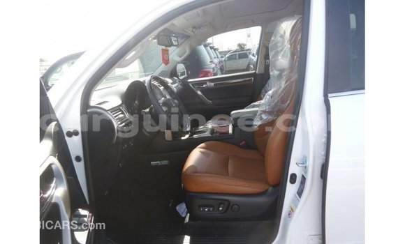 Buy Import Lexus GX White Car in Import - Dubai in Conakry Buy Import Lexus GX White Car in Import - Dubai in Conakry