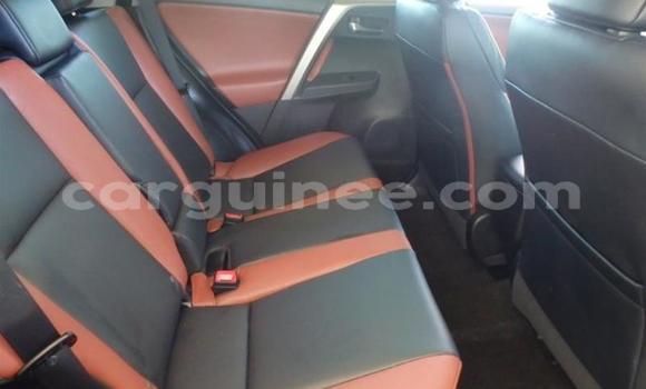 Buy Used Toyota RAV4 Green Car in Conakry in Conakry Buy Used Toyota RAV4 Green Car in Conakry in Conakry