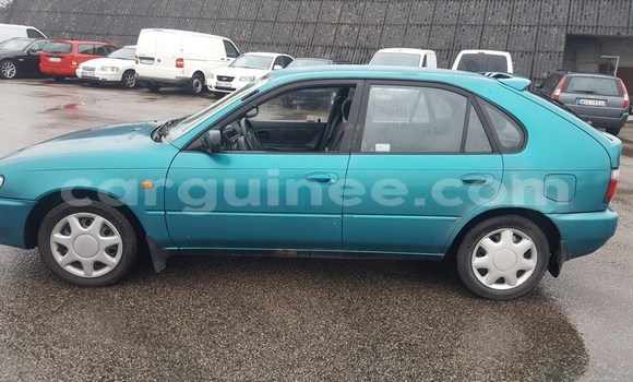 Acheter Occasion Voiture Toyota Corolla Bleu à Conakry, Conakry Acheter Occasion Voiture Toyota Corolla Bleu à Conakry, Conakry