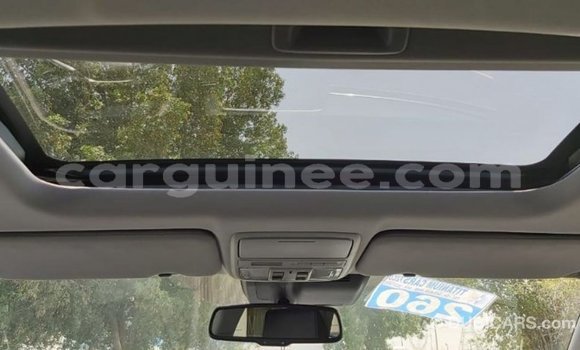 Buy Import Honda C Other Bike in Import - Dubai in Conakry Buy Import Honda C Other Bike in Import - Dubai in Conakry