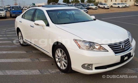 Acheter Import Voiture Lexus ES Blanc à Import - Dubai, Conakry Acheter Import Voiture Lexus ES Blanc à Import - Dubai, Conakry
